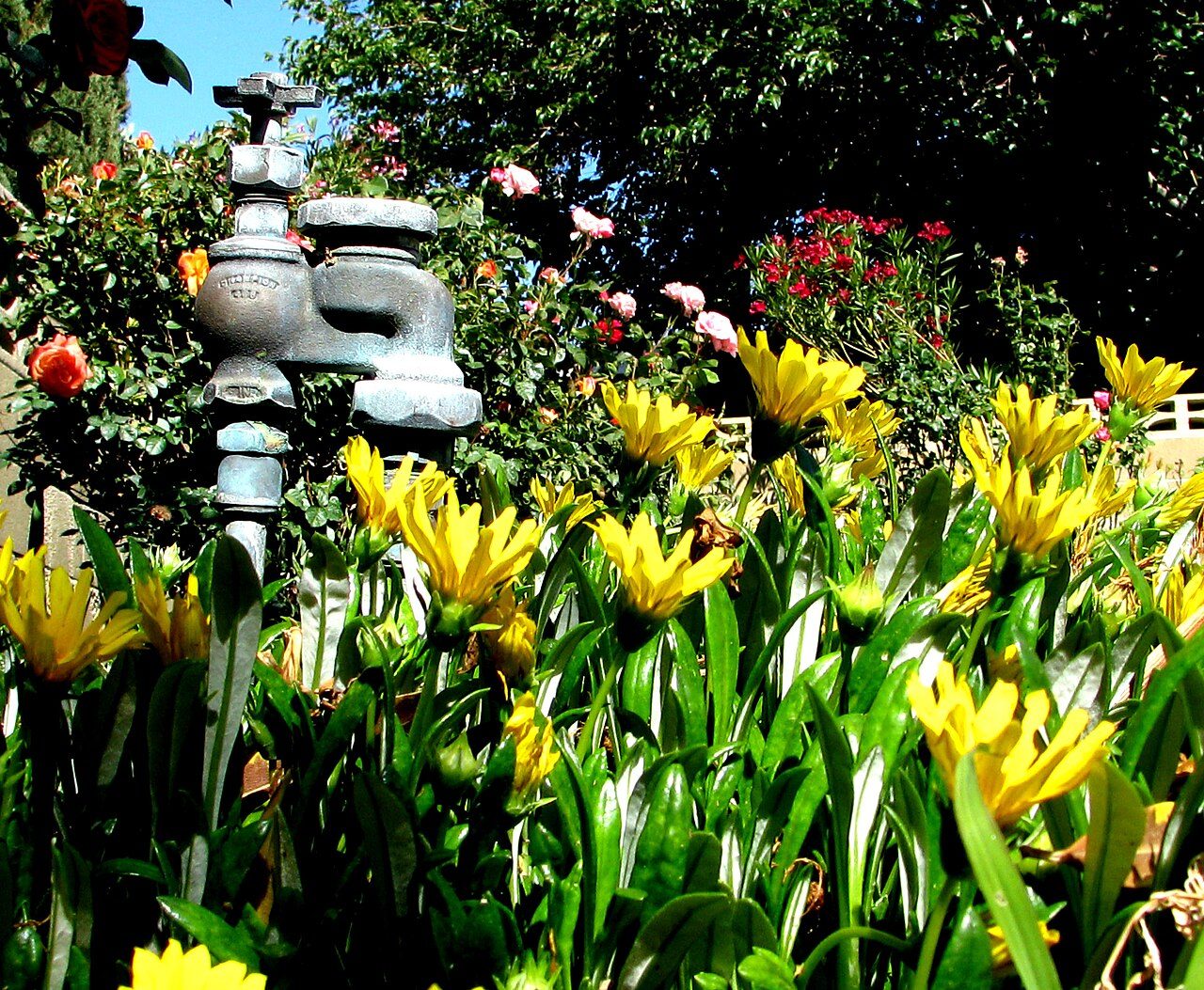 Outdoor irrigation valve and backflow assembly in a landscaped residential garden bed