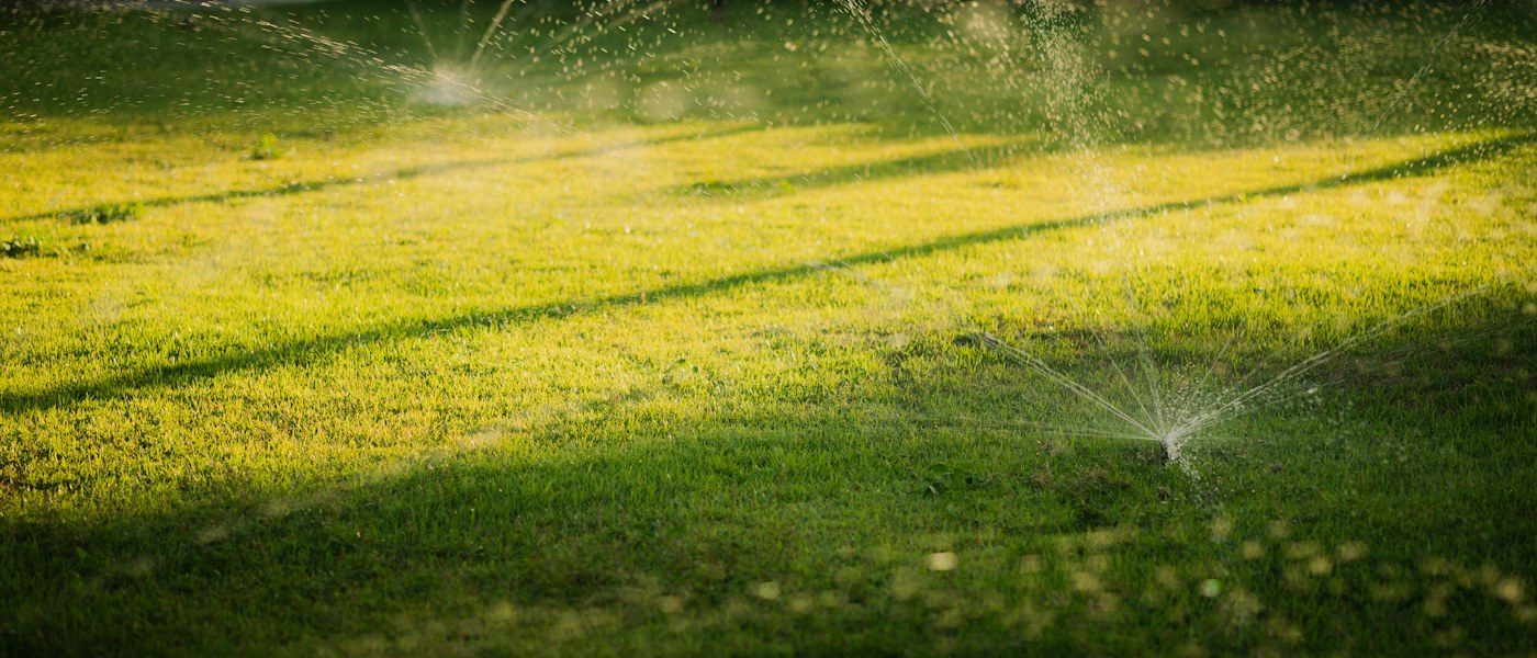 Pop-up sprinkler watering a lush green lawn zone at golden hour